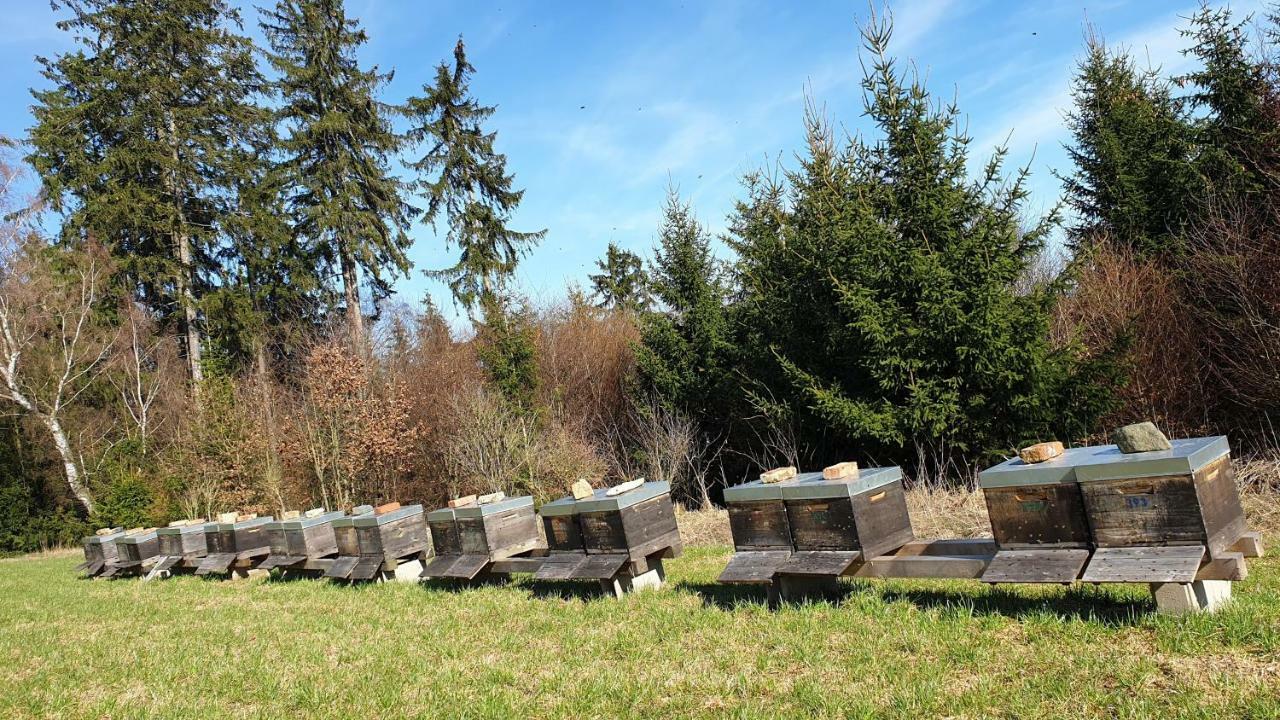 Ferienwohnung Gruengut Weckersdorf Eksteriør bilde